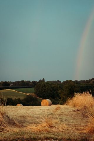 A field being harvested while a wild raindow appears