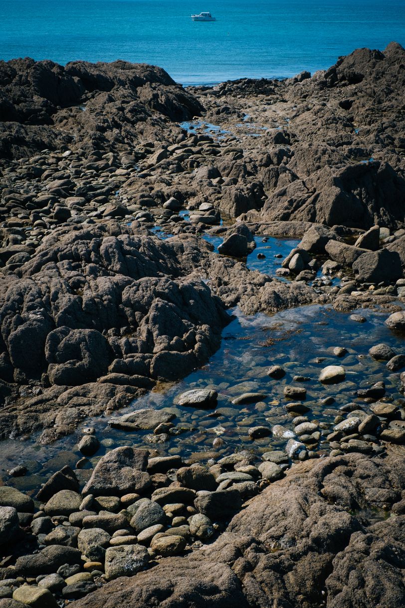 Emerged rocky shore at low tide