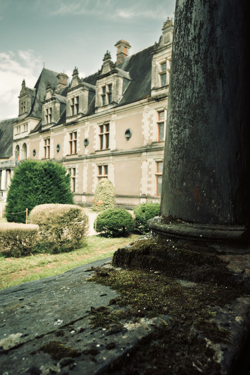 Moss on column structure in the foreground and a shiny castle in the background