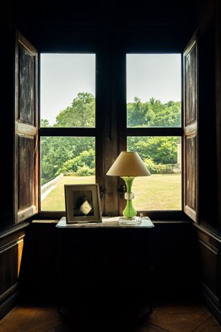 View of a park through a window from inside an old house