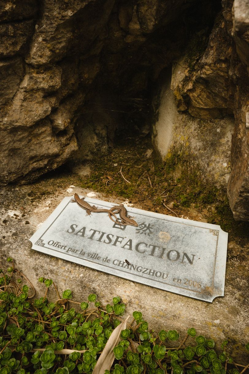 Two lezards lying on a metal plaque with the written word "satisfaction" on it