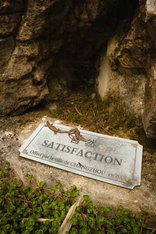 Two lezards lying on a metal plaque with the written word "satisfaction" on it