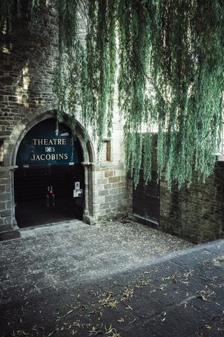 Entrance to a theater at the bottom of stairs under a weeping willow