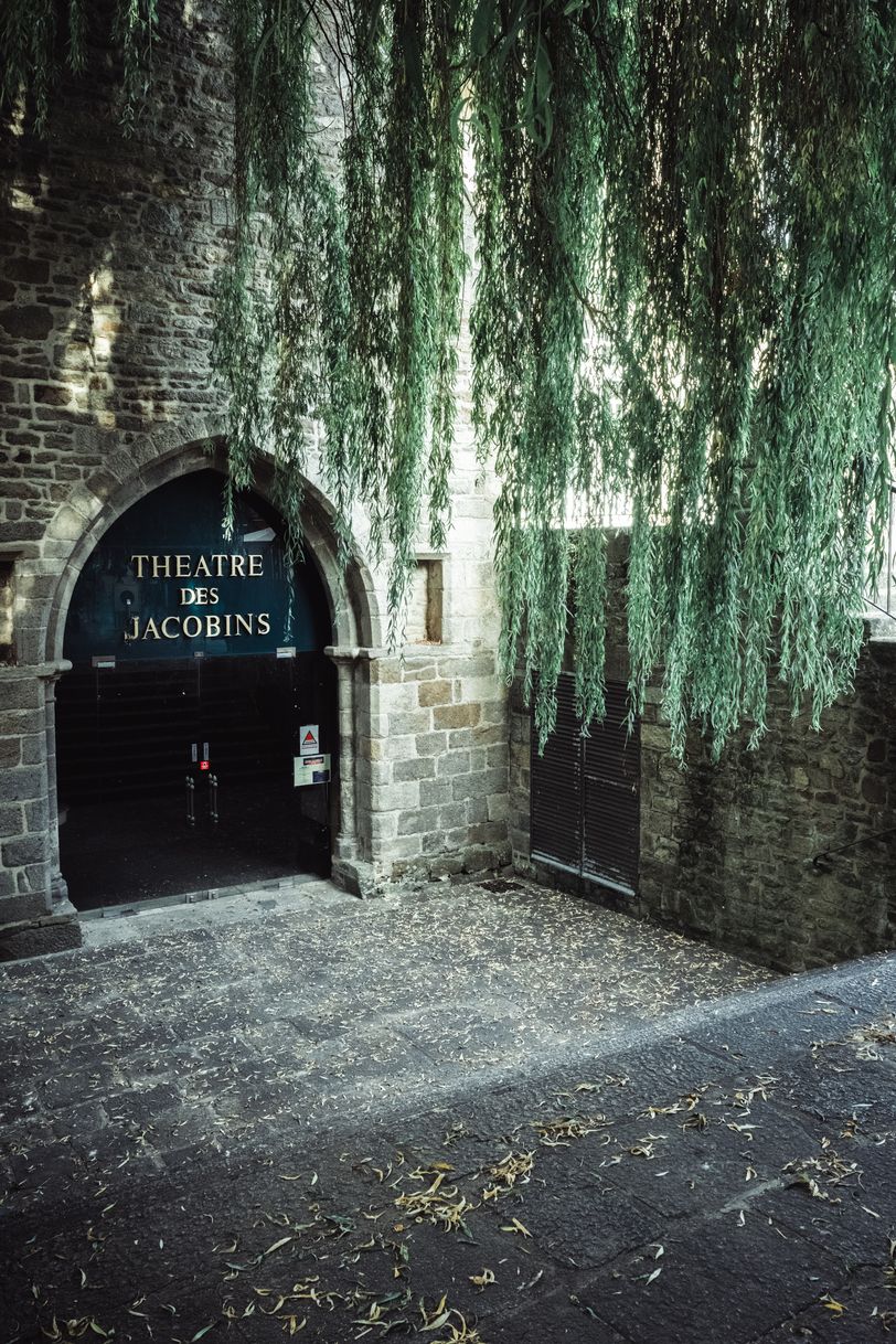 Entrance to a theater at the bottom of stairs under a weeping willow