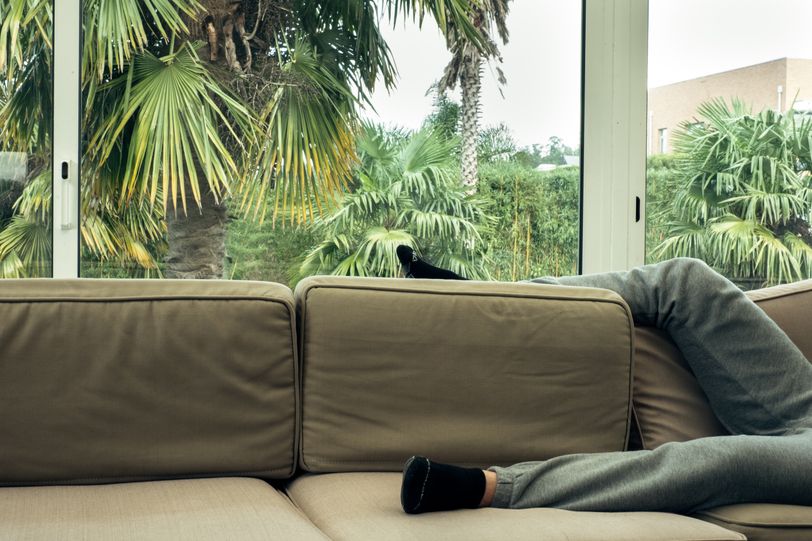 Legs of somebody napping on a sofa with palm trees in the background