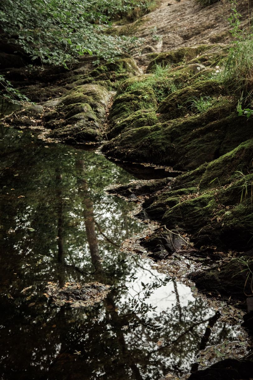 Picture of a puddle next to moss covered rocks