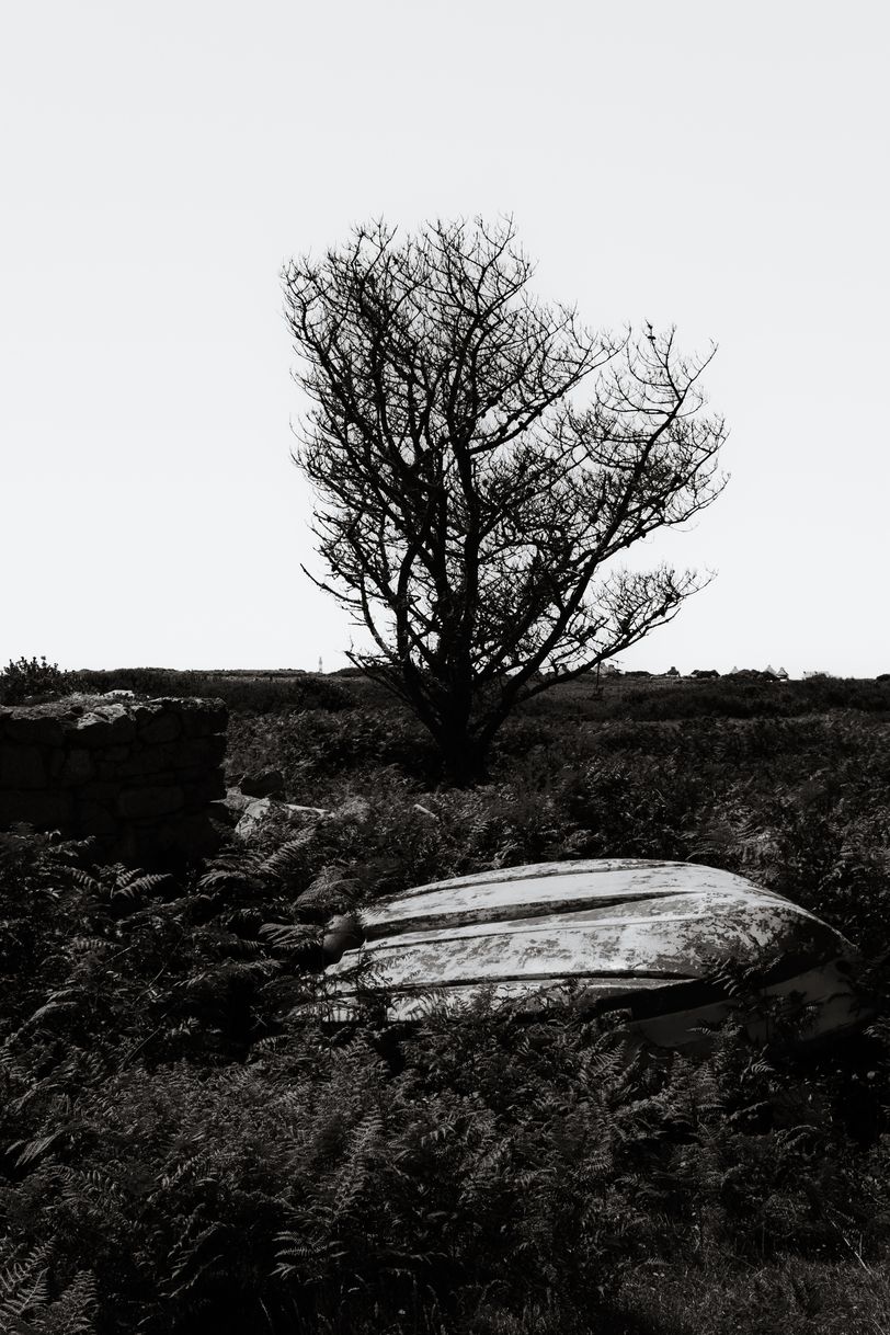 An overturned boat in the wild flora