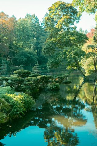 Sunshine on an asian garden