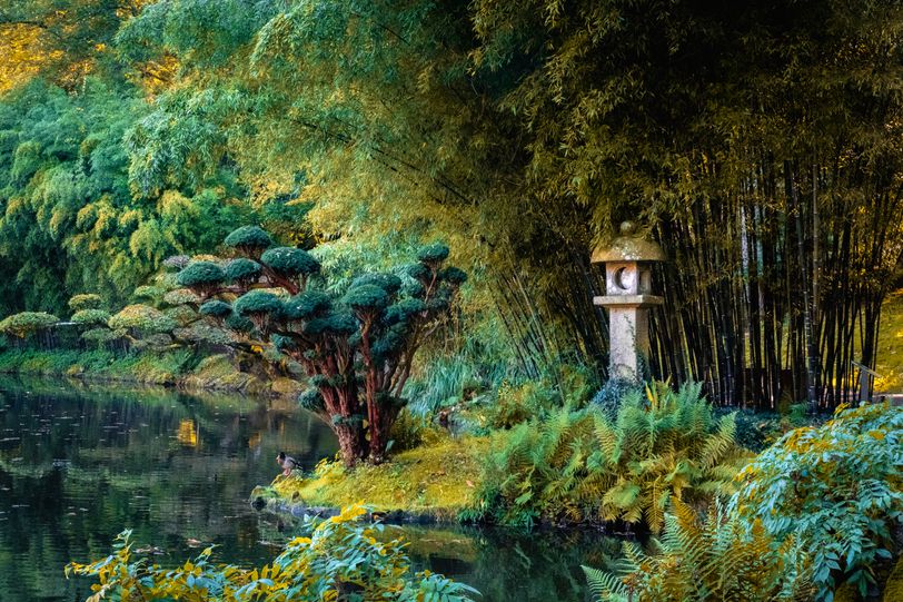 Asian garden with tamed flora and a asian torch