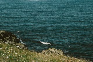 Two seagulls flying along the coast