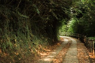 A turning path in autumn
