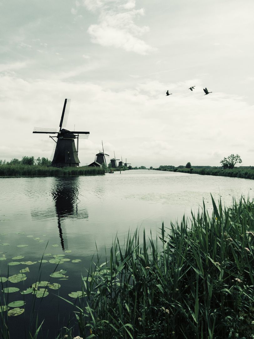 View on aligned windmills across a river on a sunny day