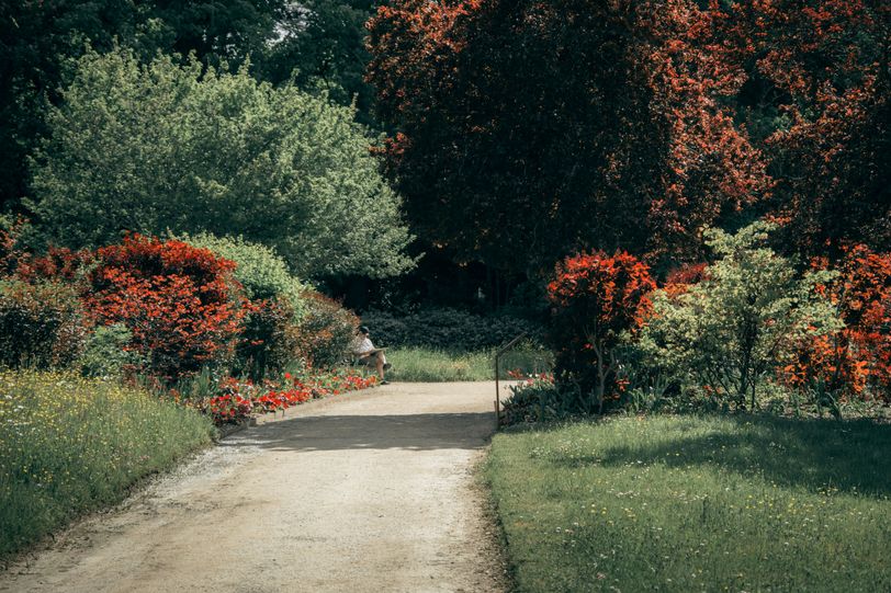 A man sitting on a bench in a luxurious park and reading a book