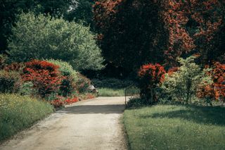 A man sitting on a bench in a luxurious park and reading a book