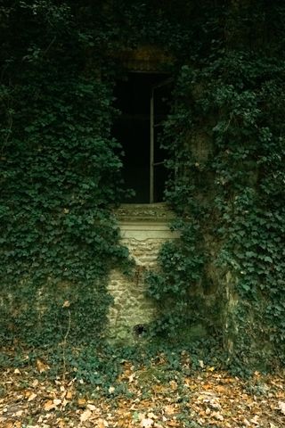 Open window of an abandoned house covered with plants