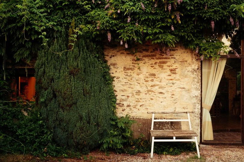 A small bench in front of a house covered in plants