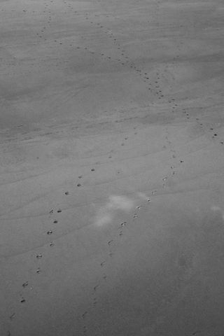 Chaotic footsteps in the sand