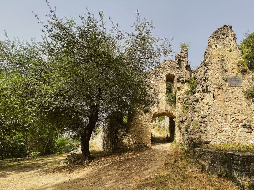 Old ruins where nature took over