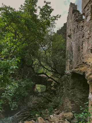 Old ruins where nature took over
